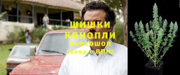 амф Арсеньев