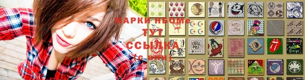 дмт Аркадак