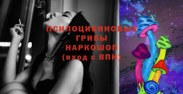 дмт Аркадак