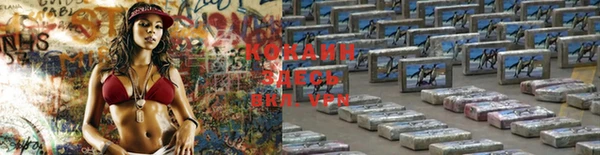 амф Арсеньев
