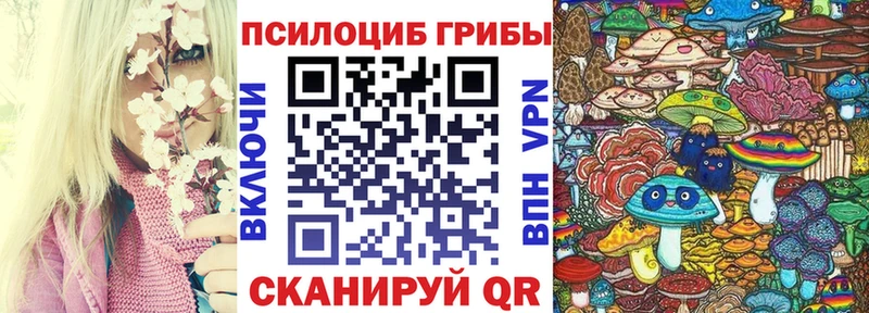 Псилоцибиновые грибы Psilocybine cubensis  дарк нет наркотические препараты  Белозерск  где найти наркотики 